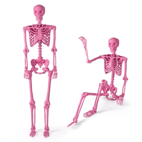 5.5ft Life-Size Pre-Lit Halloween Skeleton (Color: Pink)